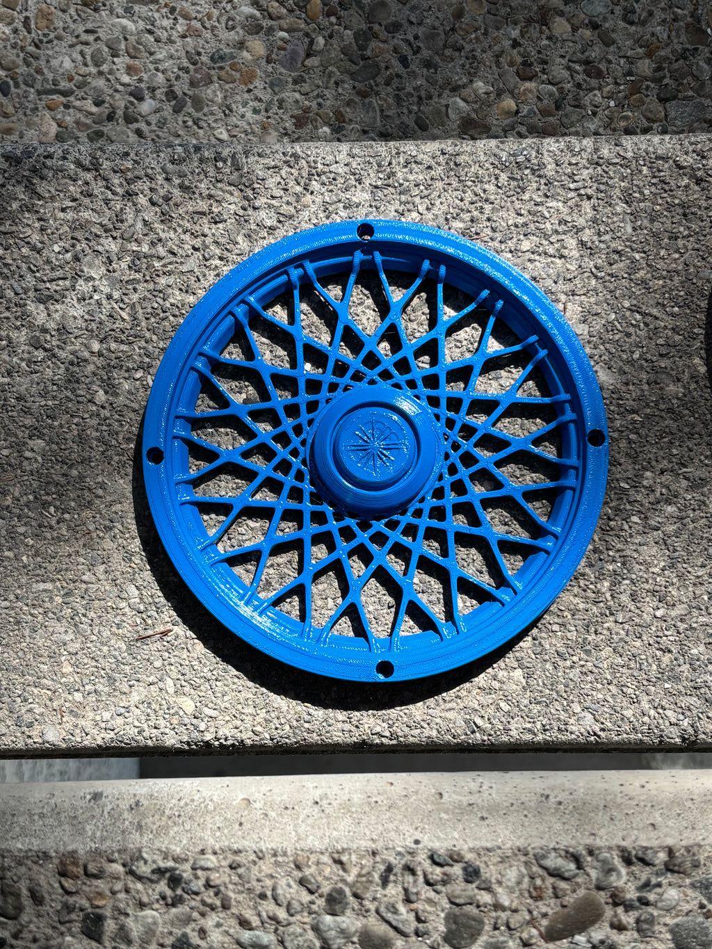 Boujee Bins Rims: Signature Blue Spoke Rims