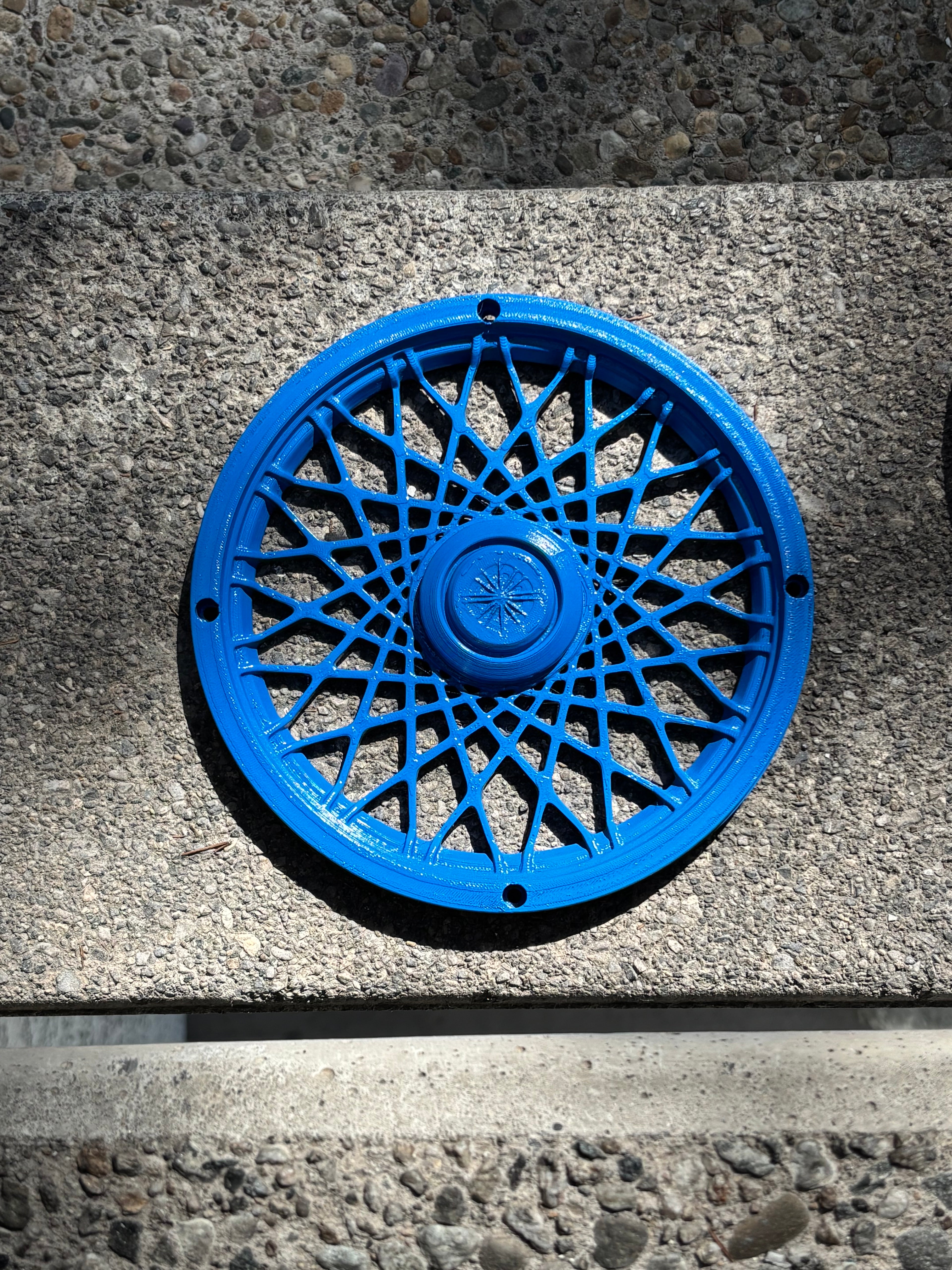 Boujee Bins Rims: Signature Blue Spoke Rims
