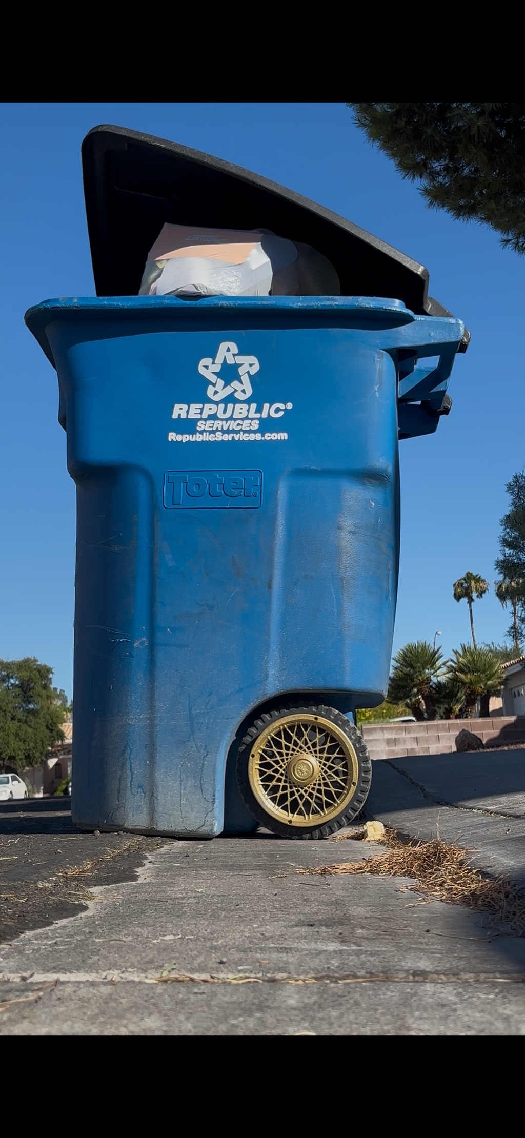 Boujee Bin Rims: Premier Gold Upgrade